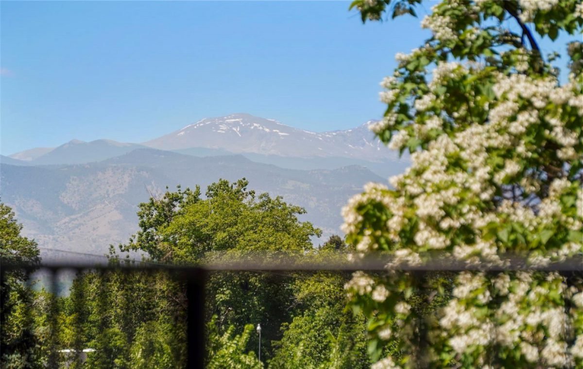 Alpine Peaks and White Blossoms
