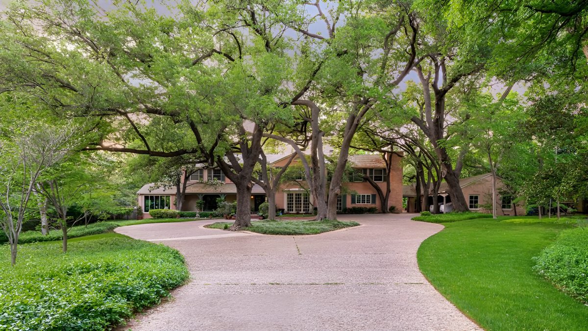 Shaded Driveway Under Oak Canopy