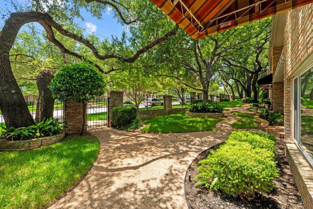 Cedar Canopy and Gravel Path